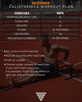 Calisthenics Workout Plan for Beginners: A Comprehensive Guide to Get You Started